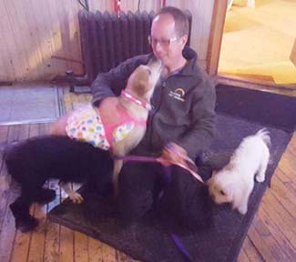 A man sitting on the floor with several dogs.