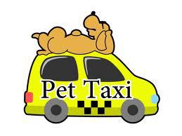 A yellow taxi cab with two dogs on top of it.