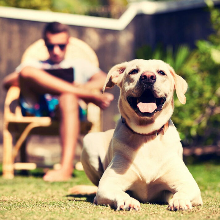 A dog sitting in the grass next to a man.